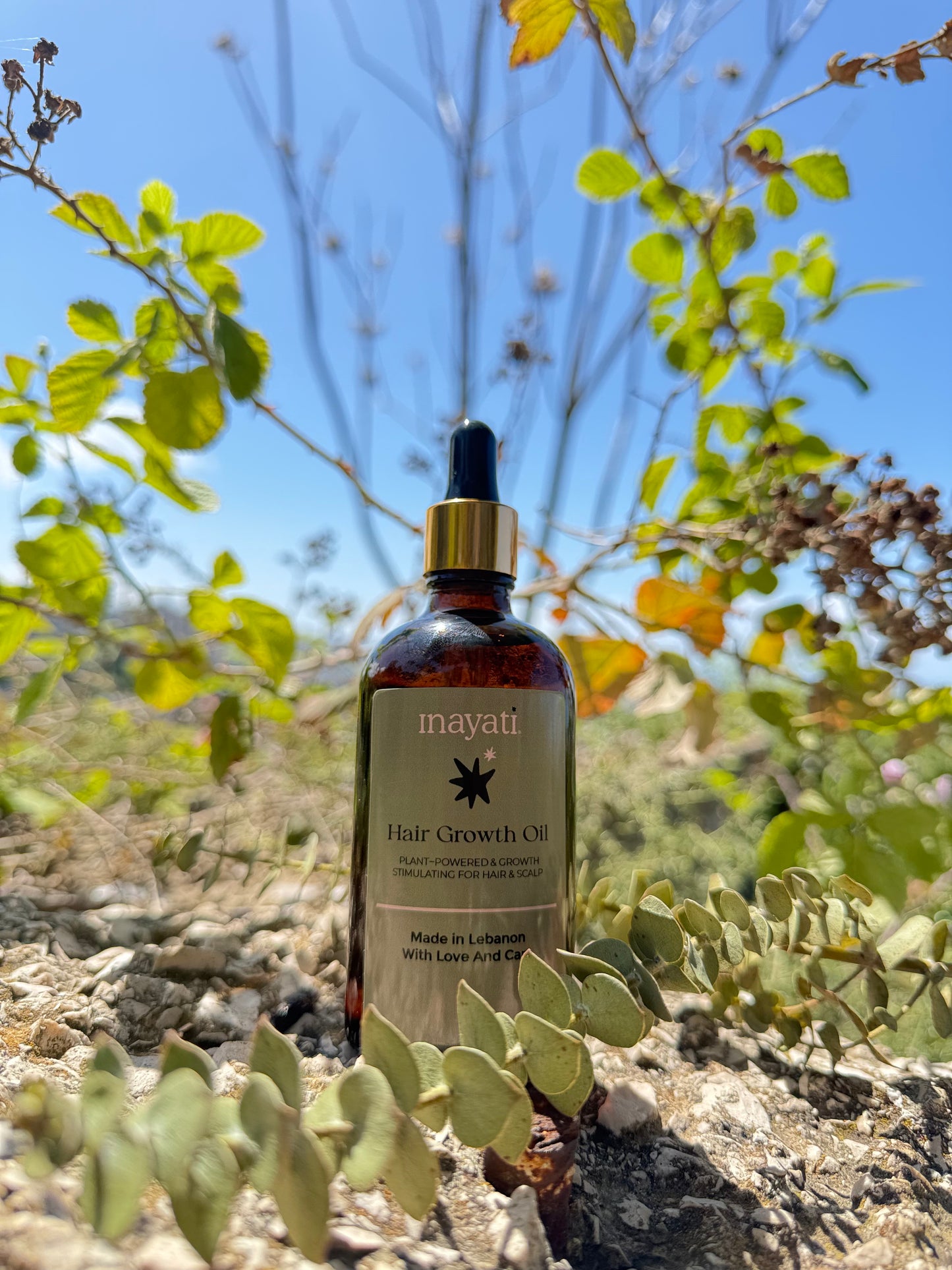 Hair Growth Oil